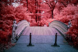 Centra Park Bridge scaled